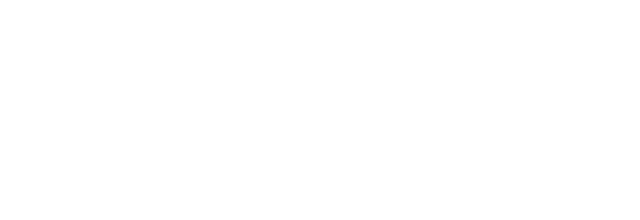 Microsoft Gold Partner